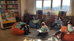 renovacion da biblioteca